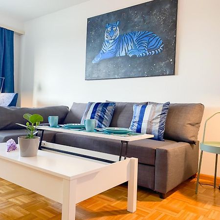 Special Blue Tiger Apartment Basel, Messe Kleinbasel 10-Star מראה חיצוני תמונה