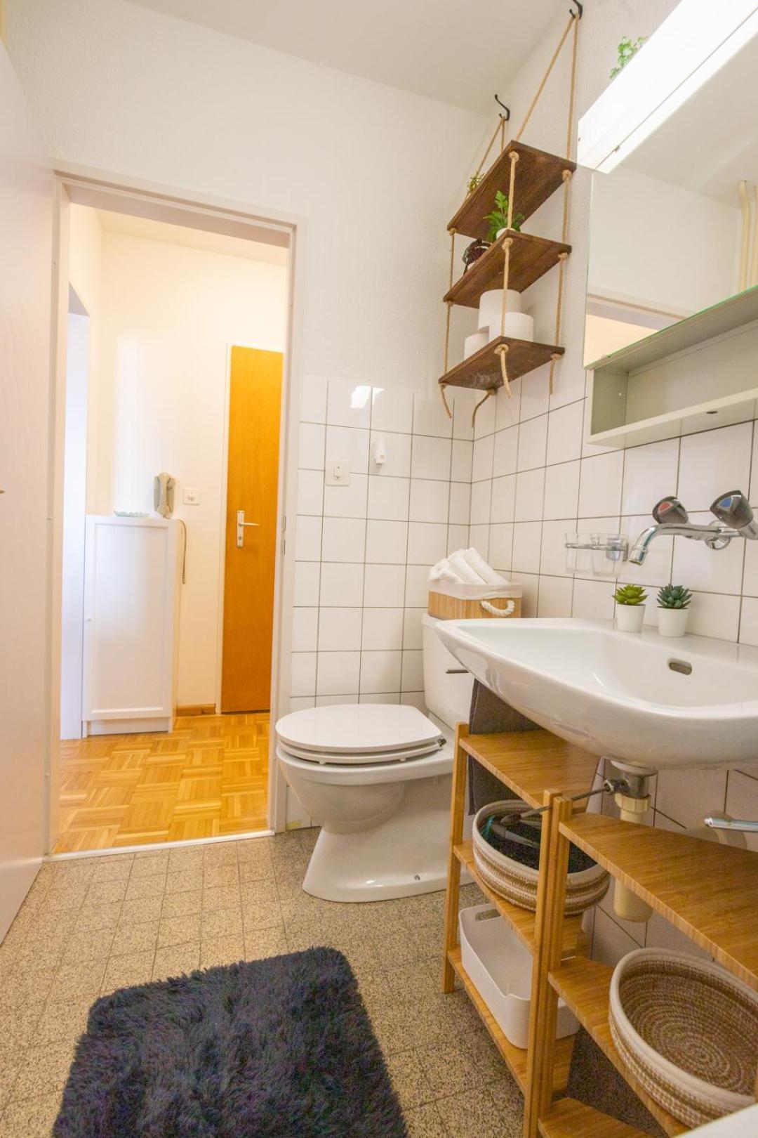 Special Blue Tiger Apartment Basel, Messe Kleinbasel 10-Star מראה חיצוני תמונה