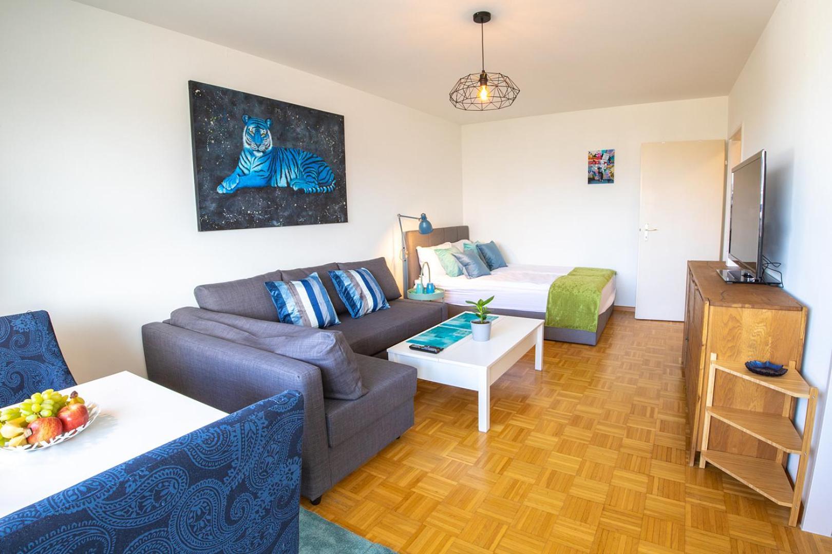 Special Blue Tiger Apartment Basel, Messe Kleinbasel 10-Star מראה חיצוני תמונה